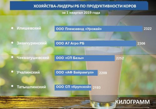 Минсельхоз РБ: составлен молочный рейтинг за I квартал года