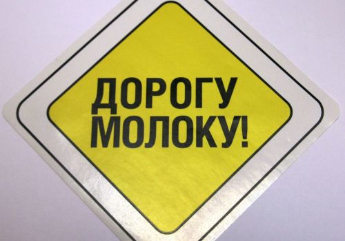 Через Башкортостан проложат «Дорогу молоку»