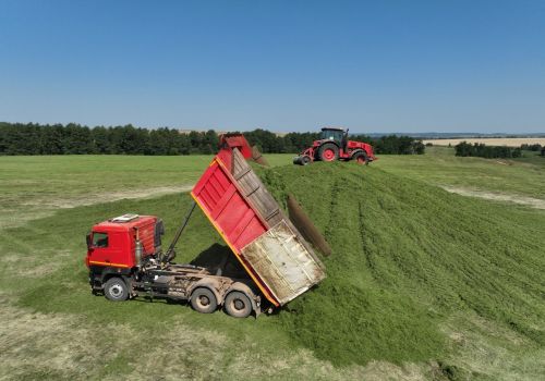 В Башкортостане заготовлено 55% кормов от потребности